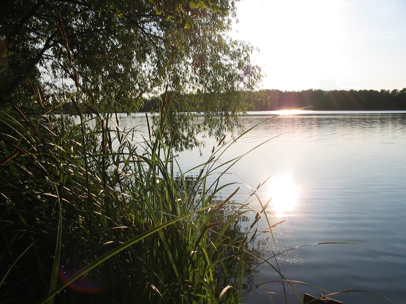 Jezioro Gosławskie