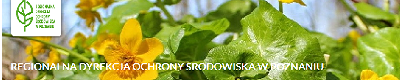 Regionalna Dyrekcja Ochrony Środowiska w Poznaniu Regionalna Dyrekcja Ochrony Środowiska w Poznaniu