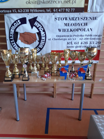 Turniej tenisa stołowego w Witkowie - trofea