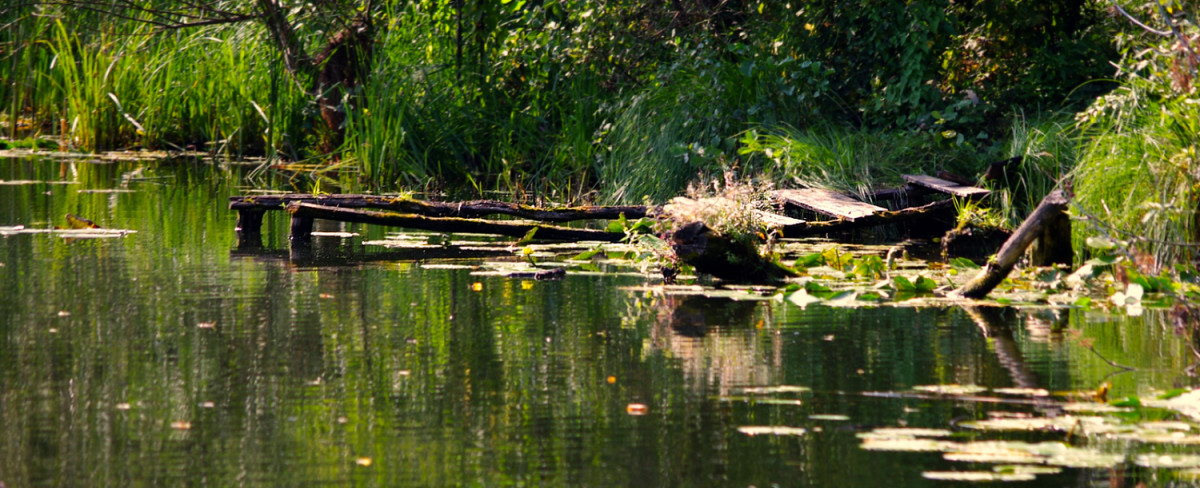Fotografia przedstawiająca pomost na jeziorze