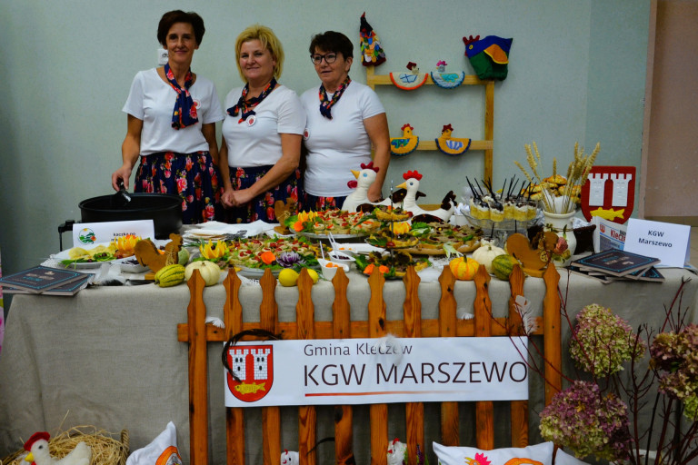 Kaczka w roli głównej