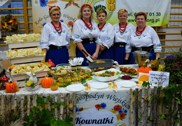 Kaczka w roli głównej