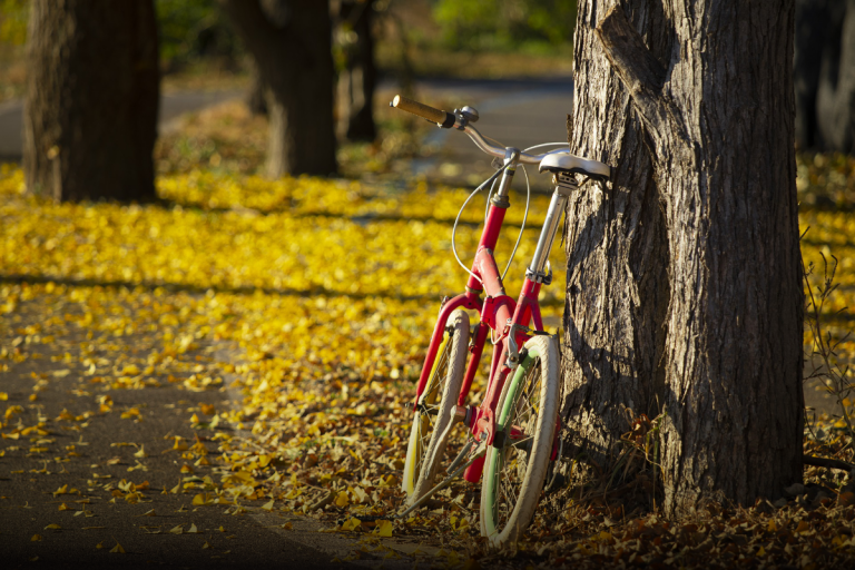 Jesień na rowerze – przekonaj nieprzekonanego