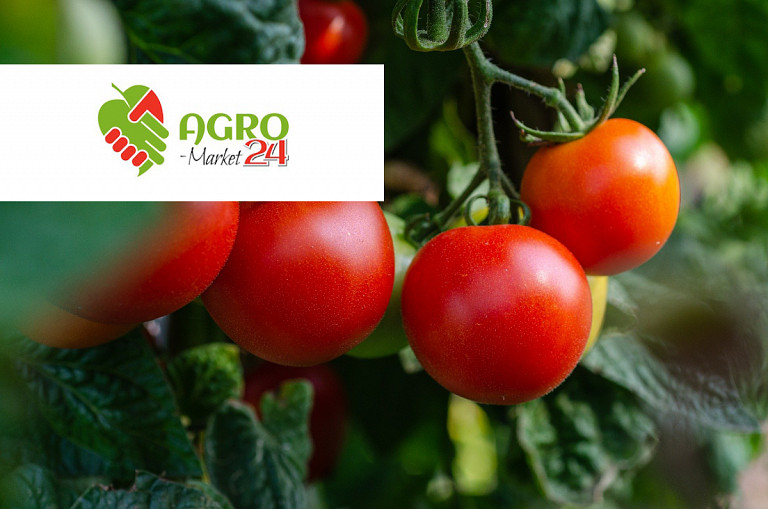 Wspieraj rolników na Agro-Market24.pl