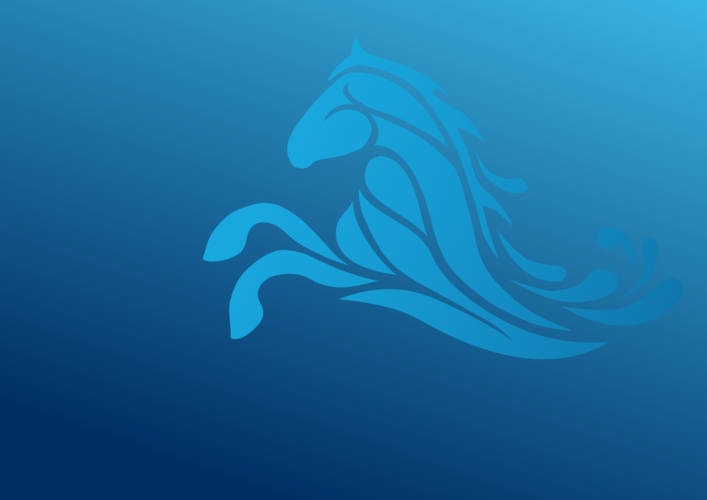 Rozstrzygnięcie otwartych konkursów ofert